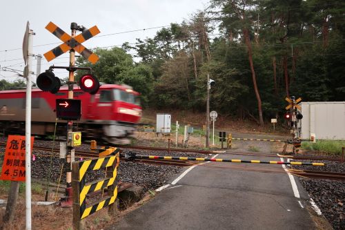 電車　踏切　車　教習所　ニュース　事故に関連した画像-01