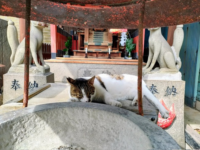 ���� ϩ�� ǭ ƻ���� ���� ��ǵ�������� ǭ�� ��̣�� ���ܤ˴�Ϣ��������-06