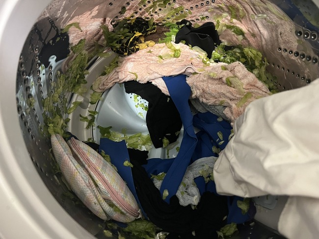 女子 レタス 洗濯機 洗濯 大惨事に関連した画像-02