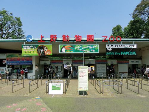 東京　上野動物園　サル　サル山　暑さ　地球温暖化に関連した画像-01