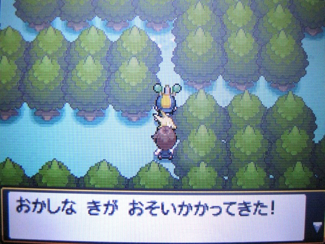 ポケモンに関連した画像-07