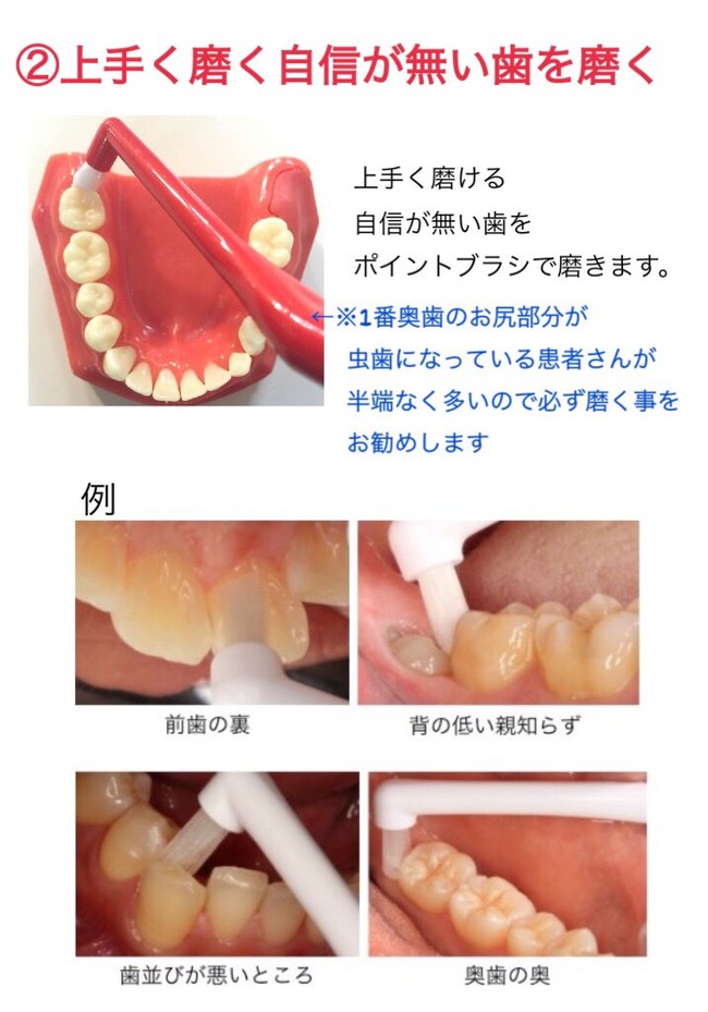 歯 歯科衛生士 オタク ハミガキに関連した画像-03