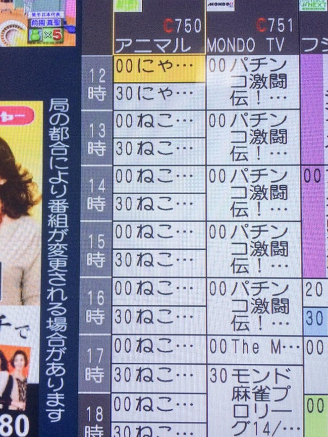 アニマルプラネットで放送されてる番組が猫の日だからってやりすぎだろこれwwwwwwwwww オレ的ゲーム速報 刃 アニマルプラネットで放送されてる番組が猫の日だからってやりすぎだろこれwwwwwwwwww オレ的ゲーム速報 刃
