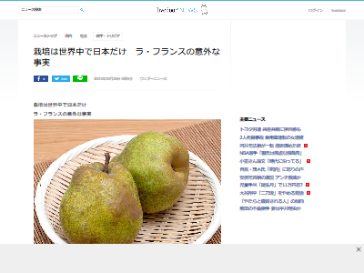 洋梨 ラ・フランス 栽培 日本のみ フランス 絶滅に関連した画像-02