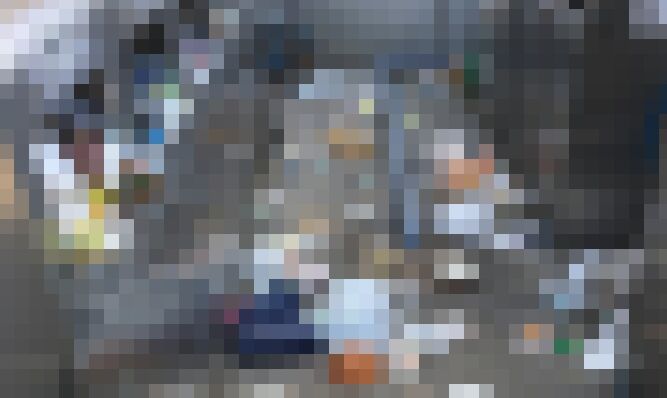 東大生　東大　ゴミ捨て場　ゴミ　カラスに関連した画像-01