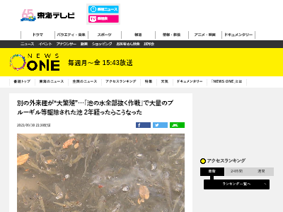 Ӥο  ˿ ֥롼 Ӥ˴Ϣ-02