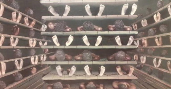 高知 寝台バス ディストピア 奴隷商船 ツッコミ殺到 国交省に関連した画像-04