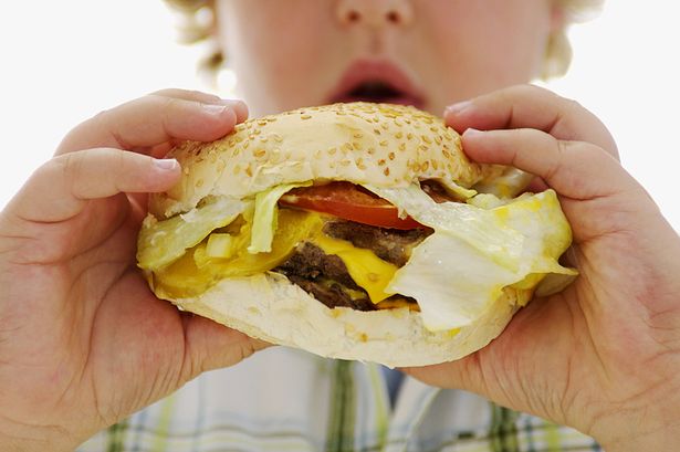 Boy-holding-hamburger-2951422