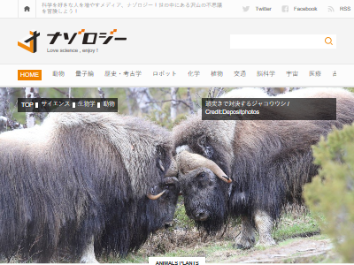 頭突きで対決する動物たちって 脳とか大丈夫なの 研究者たちが検証した結果 衝撃の事実が判明するｗｗｗｗｗｗ オレ的ゲーム速報 刃