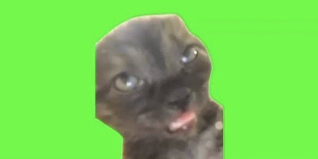 �ۥ��㡡������������������衡����������ꡡ��ɩ����������˴�Ϣ��������-02