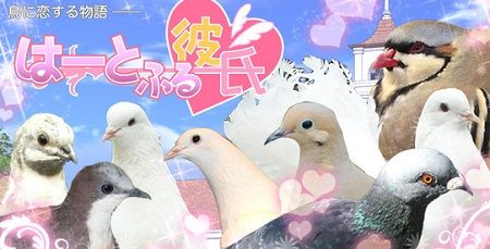 �ϡ��Ȥդ����˴�Ϣ��������-01