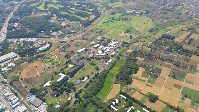 横浜 大型テーマパーク 構想に関連した画像-01