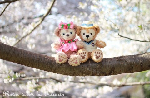 素敵 ディズニーで今の時期しか見れない桜を使ったアートがヤバイ オレ的ゲーム速報 刃 素敵 ディズニーで今の時期しか見れない桜を使ったアートがヤバイ オレ的ゲーム速報 刃