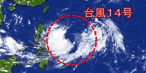 台風　台風14号　コイヌ　仔犬　気象庁に関連した画像-01