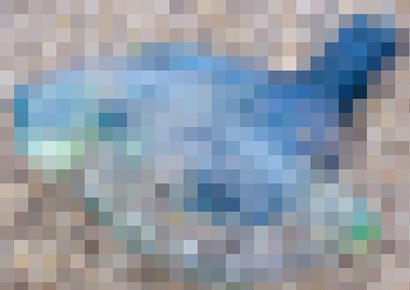 ���ĥ��Υ��ܥ��˴�Ϣ��������-01