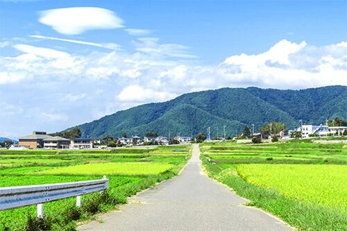「田舎あるあるなんだけど、歩道はあっても◯◯◯で通れないこと多くない？」←共感の声多数！これどうなってんだよｗｗｗｗのサムネイル