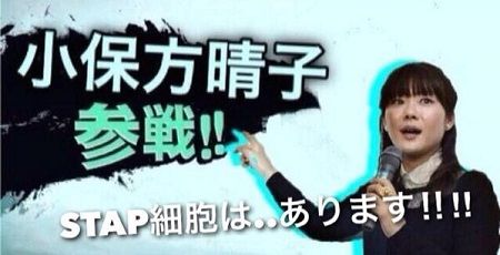 野々村竜太郎 オレ的ゲーム速報 刃 野々村竜太郎 オレ的ゲーム速報 刃