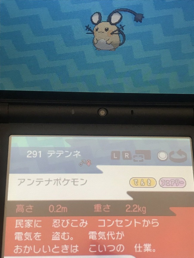 超悲報 ポケモン ウルトラサン ムーン デデンネさん 公式から害獣認定されてしまうwwwwww オレ的ゲーム速報 刃 超悲報 ポケモン ウルトラサン ムーン デデンネさん 公式から害獣認定されてしまうwwwwww オレ的ゲーム速報 刃