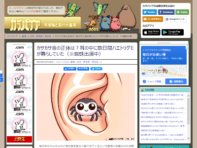 台湾 女性 耳 違和感 耳の中 蜘蛛 ハエトリグモ 脱皮に関連した画像-02