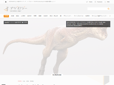 ��ε�����桡���桡���ӡ��ڡ����������Ф˴�Ϣ��������-02