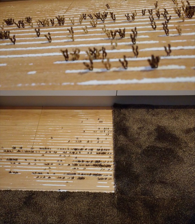 ���å���ޥå� ���� �ÿ�ʬ��˴�Ϣ��������-04