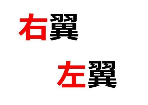 右翼　左翼　右派　左派　保守　リベラル　ネトウヨ　パヨク　反日　学校教育に関連した画像-01