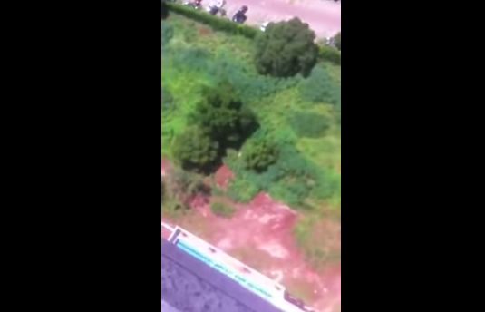 �ޥ󥷥��ư�衡���Ρ��ѥ饷�塼�ȡ����ӹߤꡡ��Ƚ����㡡��²�˴�Ϣ��������-04