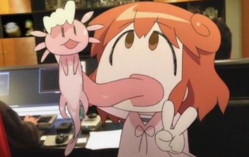 アニメ あいまいみー の3期が決定wwwww オレ的ゲーム速報 刃 アニメ あいまいみー の3期が決定wwwww オレ的ゲーム速報 刃