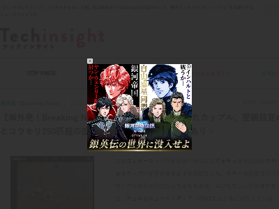 ���������ۥƥ롡���񡡥��åץ롡�롡������������ꡡ250ɤ�˴�Ϣ��������-02