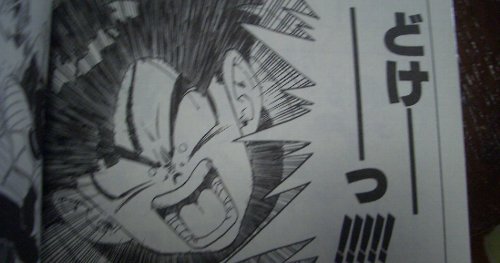 猫 邪魔 トラクター ハロー掛け 優しいおじさんに関連した画像-01