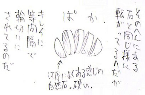 石 河原 村田雄介 凍結破砕作用に関連した画像-04