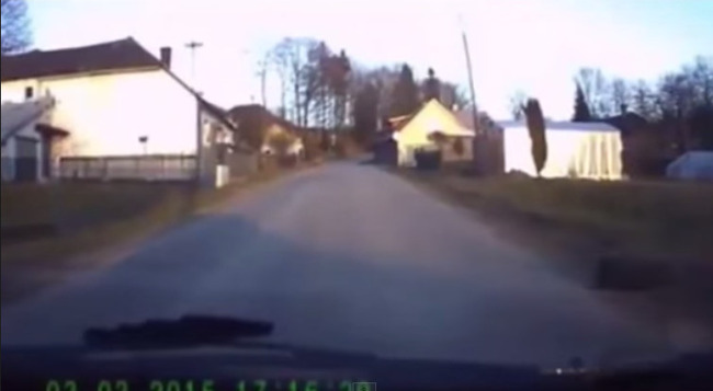 犬 動画に関連した画像-11