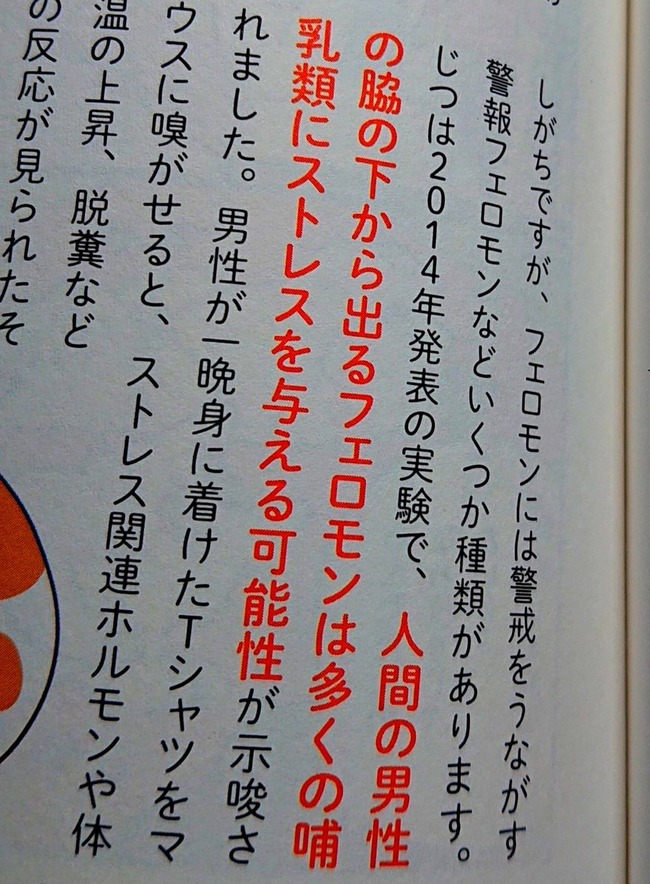 男性 脇 匂い ストレス フェロモンに関連した画像-02