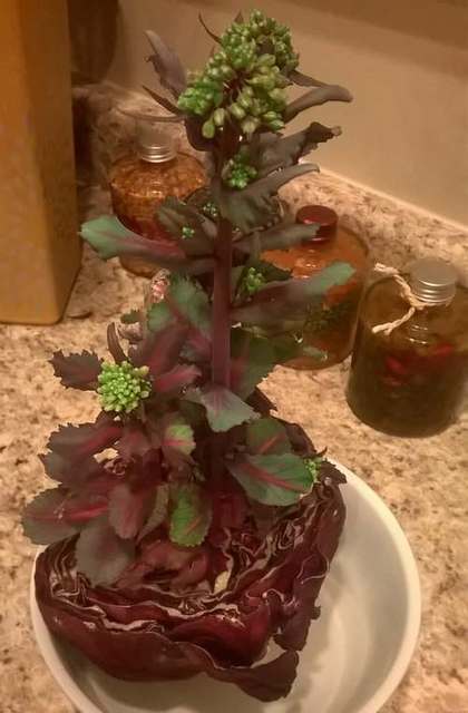 ����٥ġ��᥿���ե������˴�Ϣ��������-03