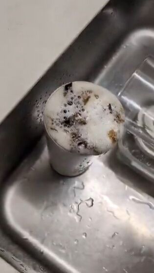 �����ҡ� 1��3�� ����֥顼 ��ú���ʥȥꥦ�� �����˴�Ϣ��������-03