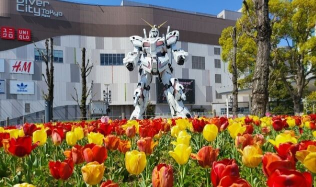 お台場 実物大 ユニコーンガンダム ガンダム 撮影 写真 花畑 女性 感性に関連した画像-01