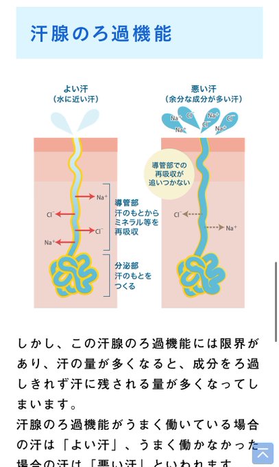 汗 臭い 健康 不健康 体臭に関する画像-02