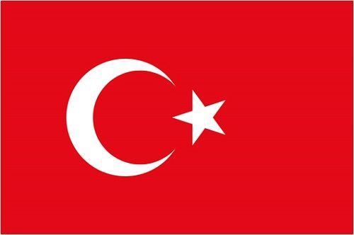 トルコ 首都 アンカラ 爆発 テロ 死亡 死者 ケガ NGO デモに関連した画像-01