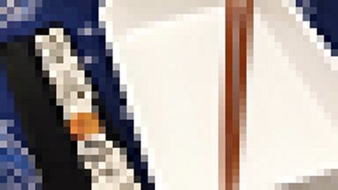 弁当 夫婦喧嘩 麻雀 アイデア 愛情 愛妻に関連した画像-01