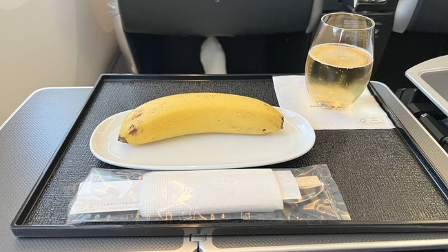 JAL 国際線 ヴィーガン 機内食 簡素 外国人に関連した画像-01