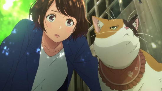 猫 にゃあ 鳴き声 甘え 体調不良に関連した画像-01