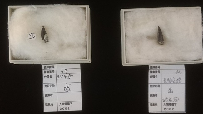 TOKIO��Ŵ�ӥ��å��塡���ӥʥ���奦�����С�ʡ��˴�Ϣ��������-02