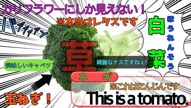 ナスとブロッコリーのトマト 情報量に関連した画像-01