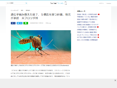 �㡡����ꥫ���ե����������饷�å��ѡ����¸������������Ķ��˲��˴�Ϣ��������-02
