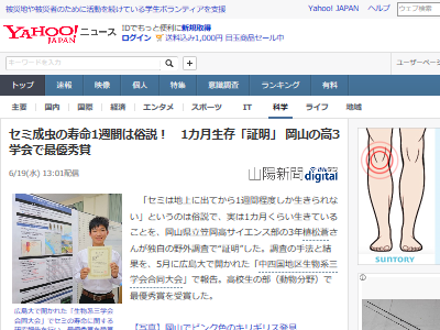 寿命 高校生 セミ