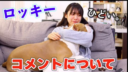 youtuber ピットブル JK りくに関連した画像-01