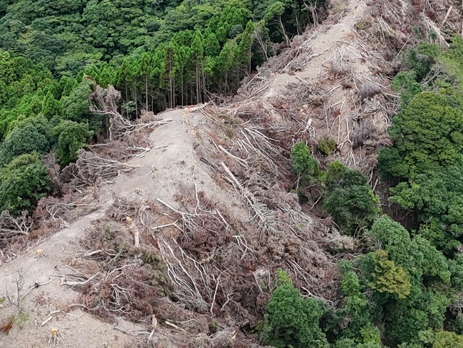 ᥬ顼ո۸ȯšӡȲΡںҳƳ˴Ϣ-05