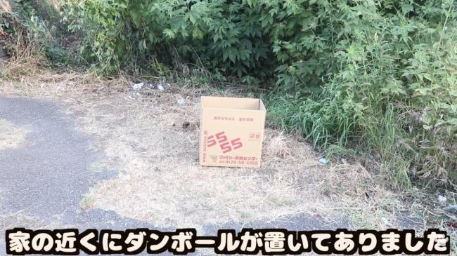 動物 YouTuber 猫 自演に関連した画像-12