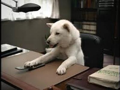 これは酷い ソフトバンクのお父さん犬がauの広告に登場 Auに替えるか オレ的ゲーム速報 刃