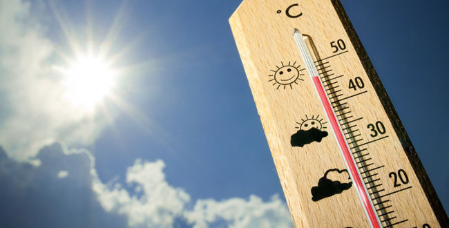 �ϵ岹�Ȳ���2100ǯ��ʿ�ѡ����١��˴�Ϣ��������-01